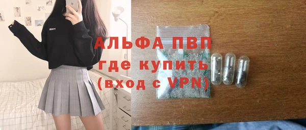 индика Балабаново