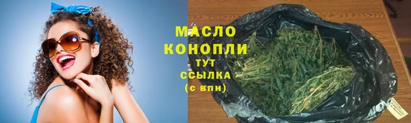 индика Балабаново