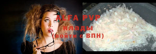 индика Балабаново