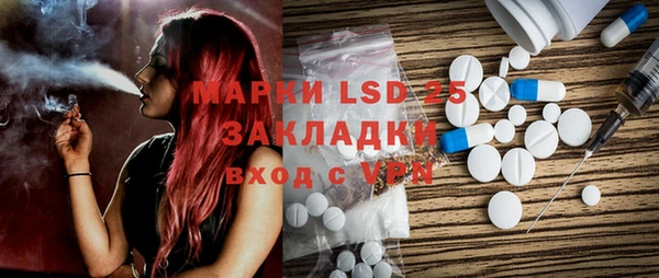 индика Балабаново