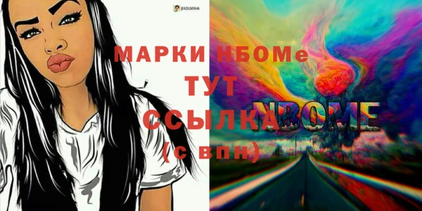 индика Балабаново