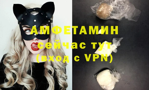 индика Балабаново