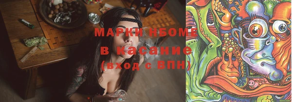 индика Балабаново