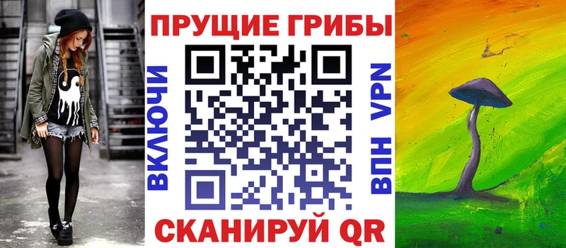 Псилоцибиновые грибы GOLDEN TEACHER  даркнет официальный сайт  Североморск 